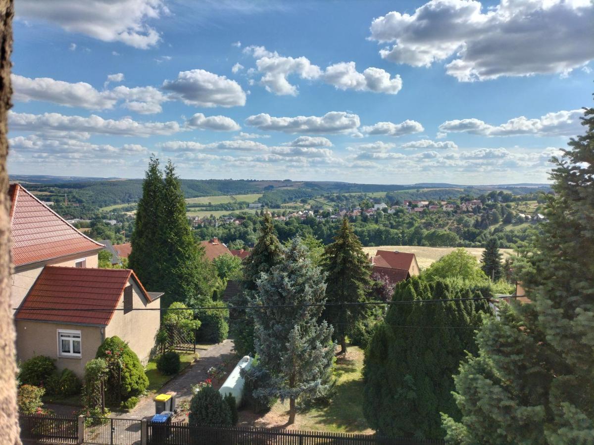 Fewo Zur Alten Drechslerei Freital Exterior foto